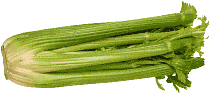 besttips celery