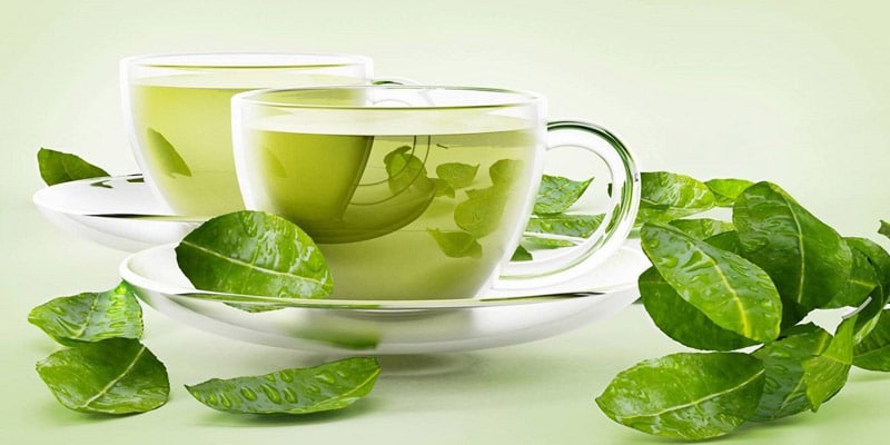 الشاي الأخضر قد يقي من سرطان الرئة