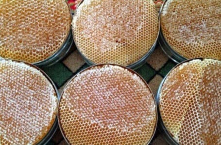 شراء أجود أنواع العسل اليمني