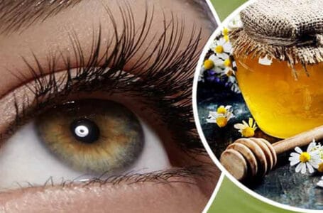 العسل وأمراض العيون