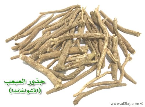 withania root